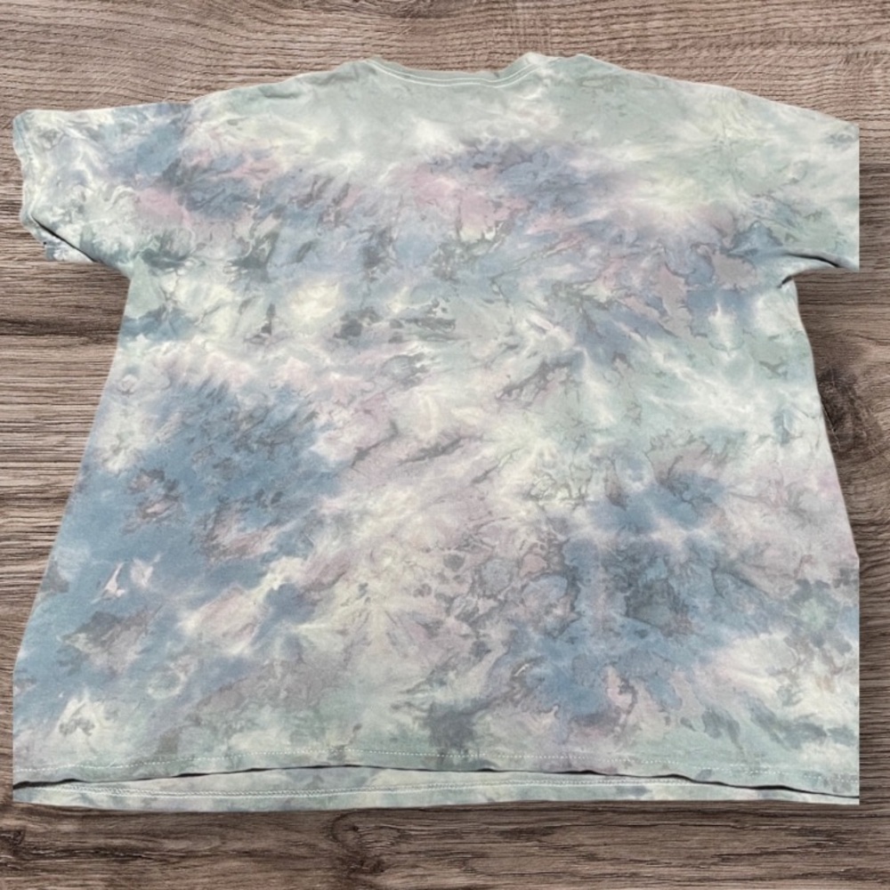 Chemistry Tie-Dye Eagle Graphic Tee - Picture 5 of 6